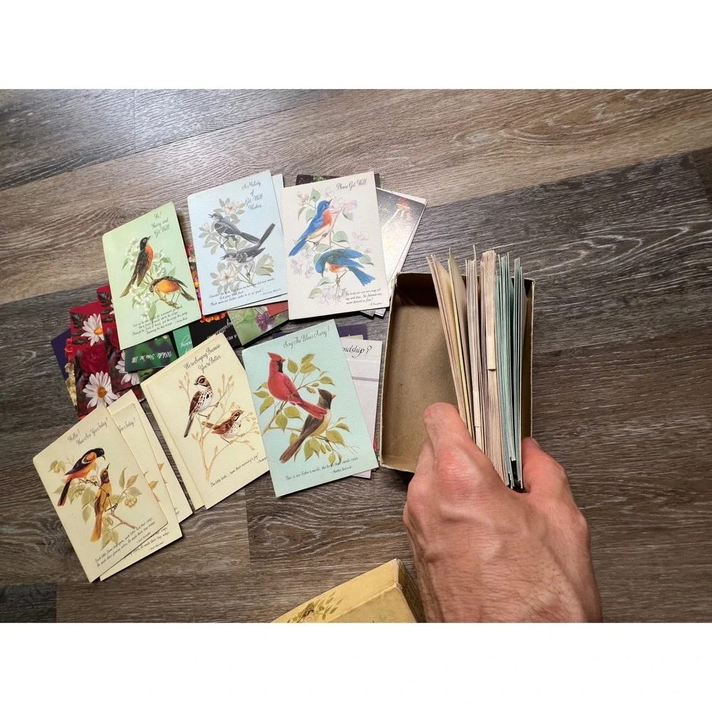 Sunshine Line Birds of Song Greeting Cards Multicolor Vintage